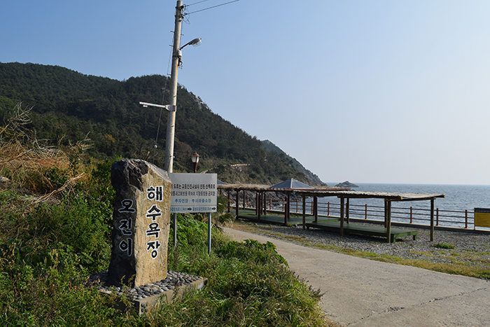 chuja45